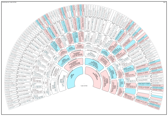 fan chart