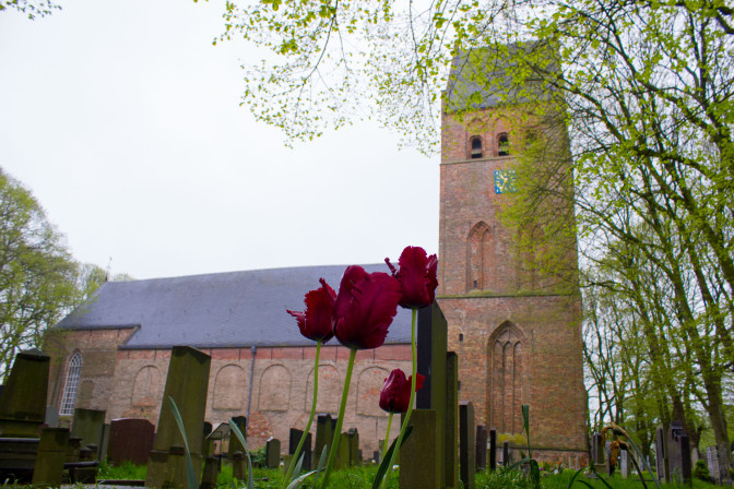 church with tullips in the front