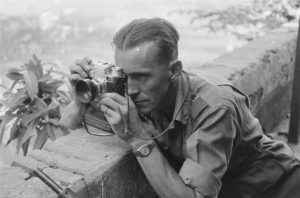 photographer shooting a close-up of a bush